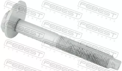 Camber Correction Screw