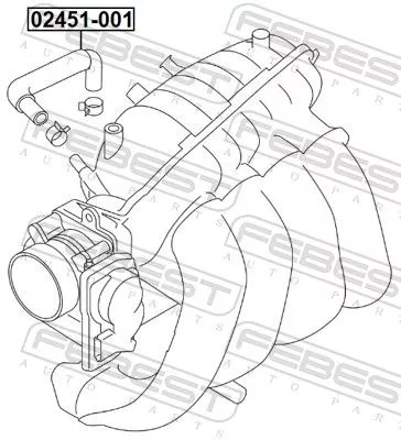 FEBEST Hose, cylinder head cover ventilation (02451-001)