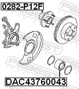 FEBEST Wheel Hub (0282-P12F)