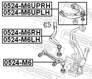 FEBEST Control/Trailing Arm, wheel suspension (0524-M6)