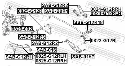 FEBEST Control/Trailing Arm, wheel suspension (0824-G12RRH)