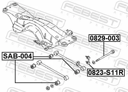 FEBEST Camber Correction Screw (0829-003)