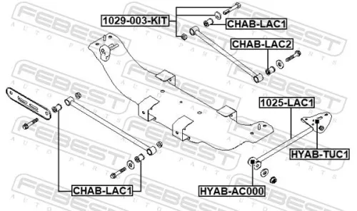 FEBEST Camber Correction Screw (1029-003-KIT)