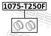 FEBEST Repair Kit, brake caliper (1075-T250F)