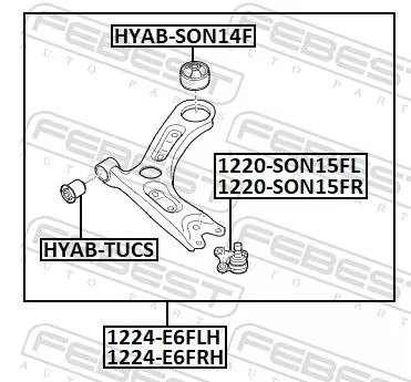 FEBEST Control/Trailing Arm, wheel suspension (1224-E6FRH)