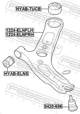 FEBEST Control/Trailing Arm, wheel suspension (1224-ELNFLH)