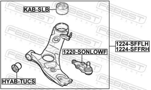 FEBEST Control/Trailing Arm, wheel suspension (1224-SFFLH)