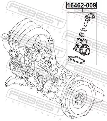 FEBEST Thermostat, coolant (16462-009)