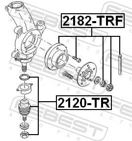 FEBEST Ball Joint (2120-TR)