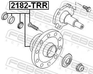FEBEST Wheel Hub (2182-TRR)