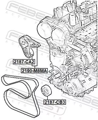 FEBEST Belt Tensioner, V-ribbed belt (2190-M8MA)