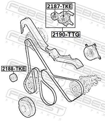 FEBEST Belt Tensioner, V-ribbed belt (2190-TTG)