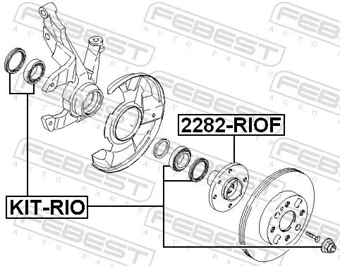 FEBEST Wheel Hub (2282-RIOF)