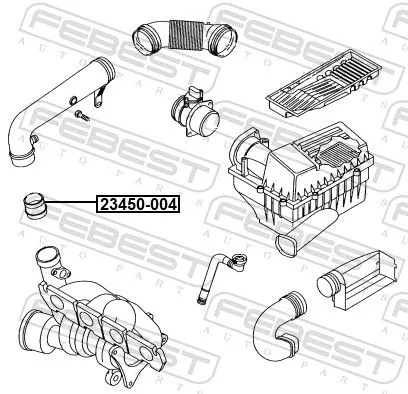 FEBEST Hose, air supply (23450-004)