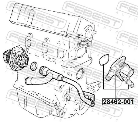 FEBEST Thermostat, coolant (28462-001)