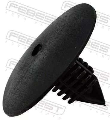 Clip, trim/protection strip