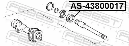FEBEST Bearing (AS-43800017)