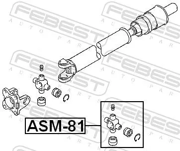 FEBEST Joint, propshaft (ASM-81)