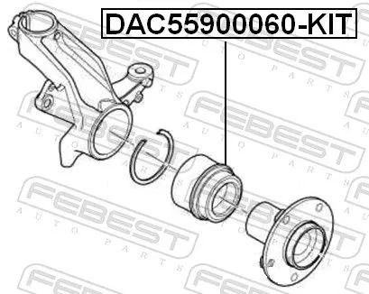 FEBEST Wheel Bearing Kit (DAC55900060-KIT)