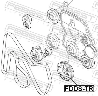 FEBEST Belt Pulley, crankshaft (FDDS-TR)