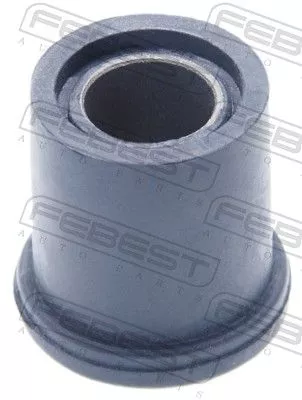 Bushing, leaf spring