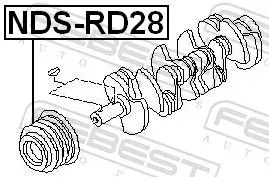 FEBEST Belt Pulley, crankshaft (NDS-RD28)