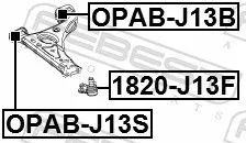 FEBEST Mounting, control/trailing arm (OPAB-J13B)