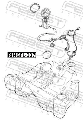 FEBEST Seal, fuel sender unit (RINGFL-037)
