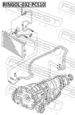 FEBEST Seal Ring, oil cooler (RINGOL-032-PCS10)
