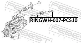FEBEST Gasket, coolant flange (RINGWH-007-PCS10)