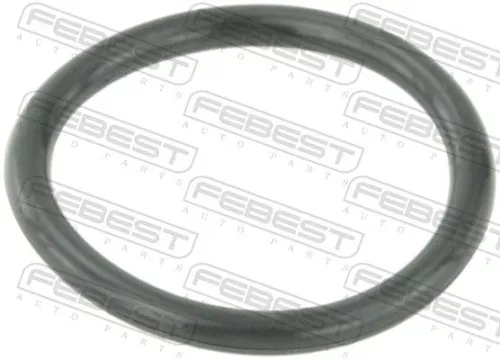 Gasket, coolant flange