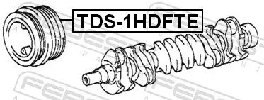 FEBEST Belt Pulley, crankshaft (TDS-1HDFTE)