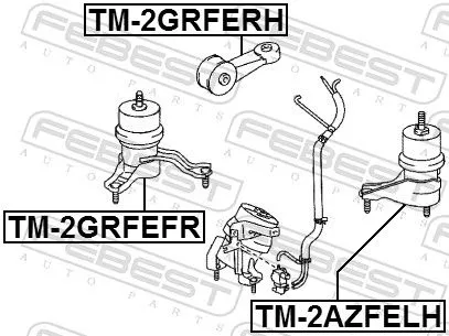 FEBEST Mounting, engine (TM-2GRFERH)