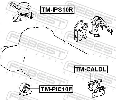 FEBEST Mounting, engine (TM-PIC10F)