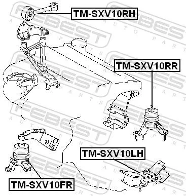 FEBEST Mounting, engine (TM-SXV10LH)