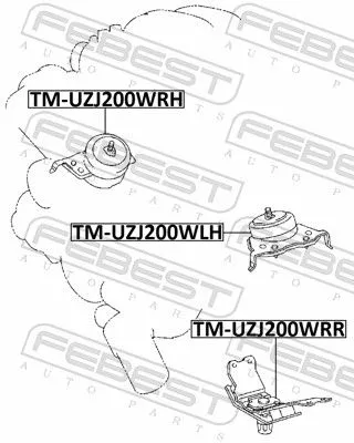 FEBEST Mounting, engine (TM-UZJ200WRR)