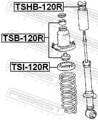 FEBEST Spring Seat (TSI-120R)