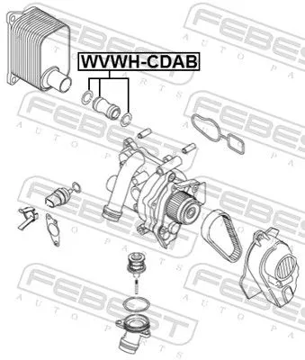 FEBEST Radiator Hose (VWWH-CDAB)
