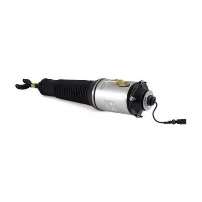 Arnott Air Suspension Strut (AS-2560)