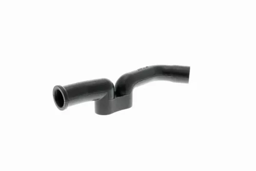 Hose, cylinder head cover ventilation