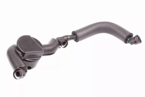 Hose, crankcase ventilation