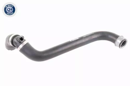 Hose, crankcase ventilation