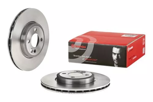 BREMBO Brake Disc (09.A047.30)