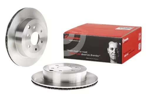 BREMBO Brake Disc (09.B591.10)