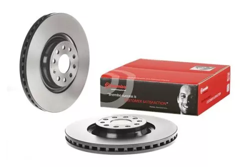 BREMBO Brake Disc (09.C306.11)