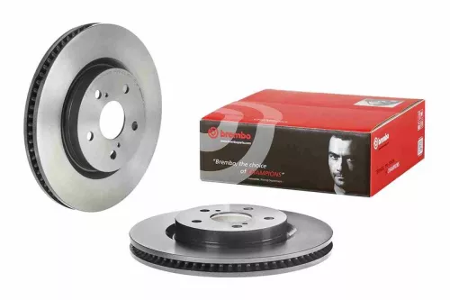 BREMBO Brake Disc (09.D979.11)
