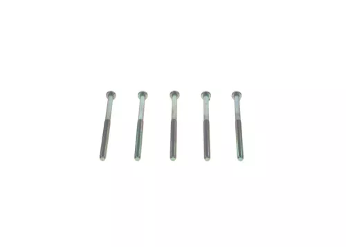 BOSCH Screw (1 123 429 125)