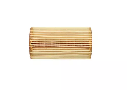 BOSCH Oil Filter (1457429244)