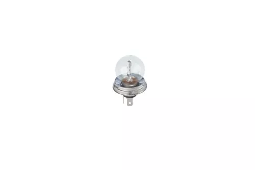 BOSCH Bulb, headlight (1987302023)