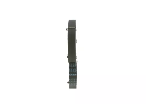 BOSCH V-ribbed Belt (1987946099)